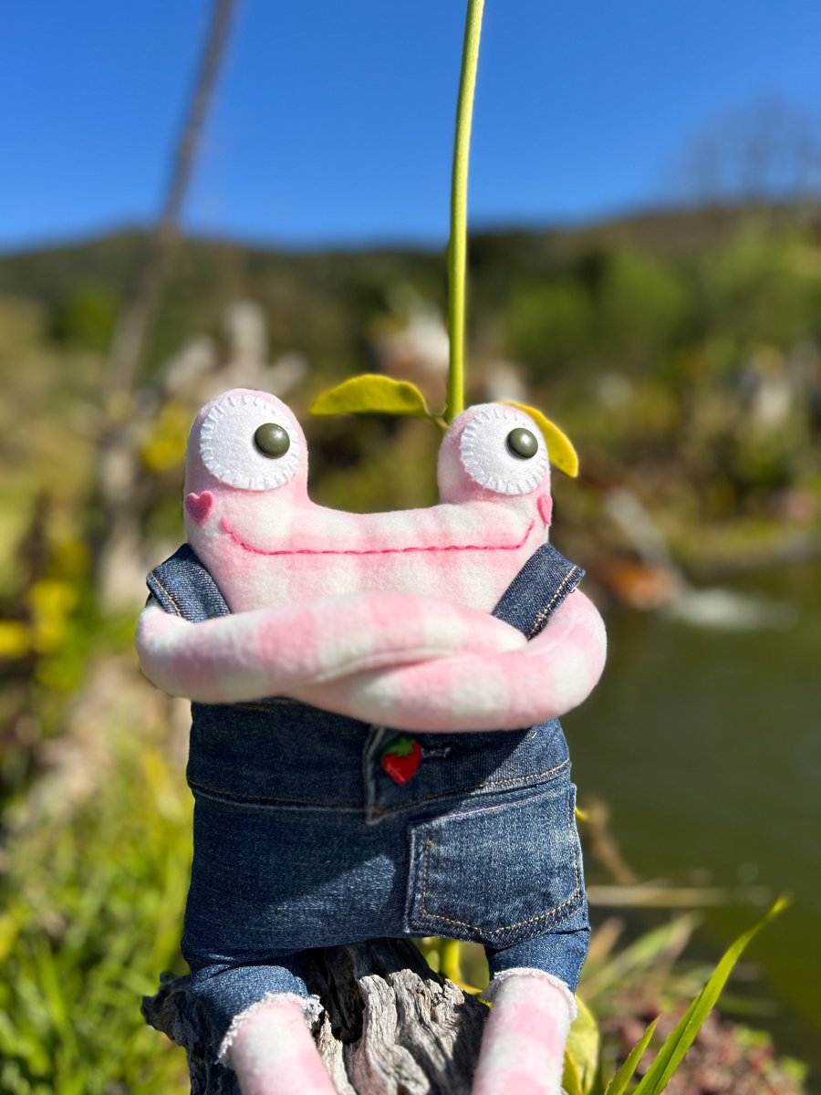 greg&oacute;rio