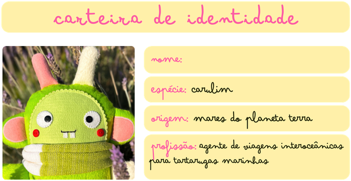 carteira de identidade de carulim